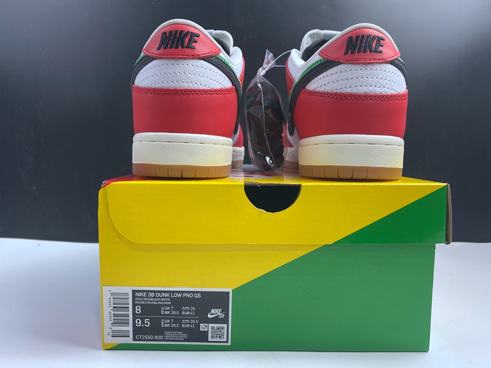 Frame Skate x Nike SB Dunk Low CT2550-600